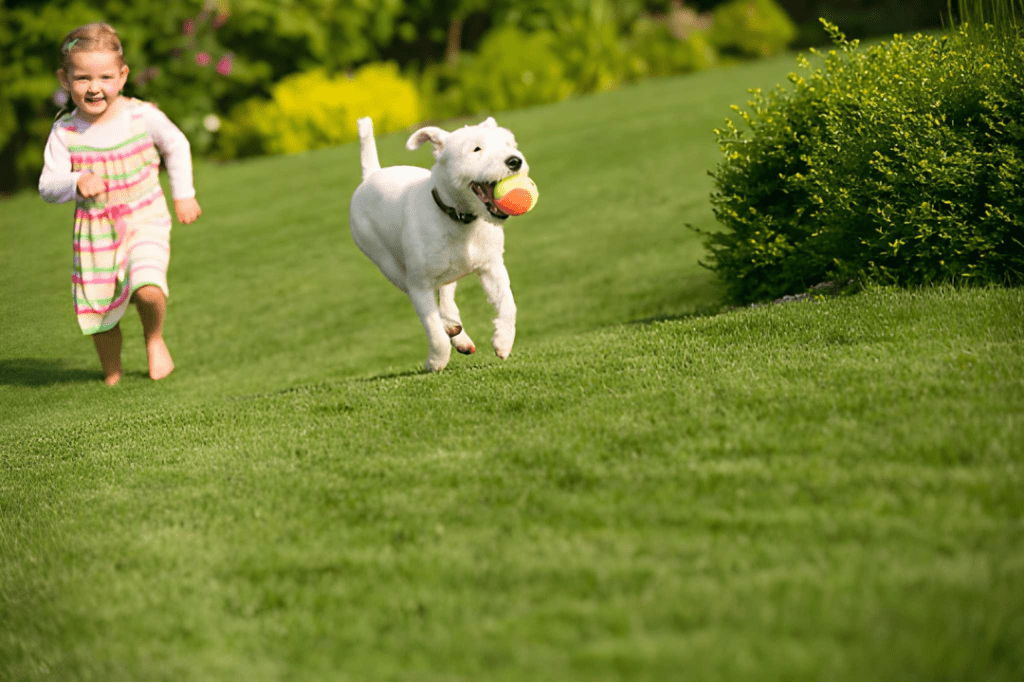 artificial grass for children and pets