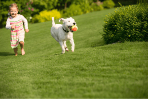 artificial grass for children and pets